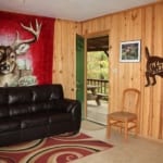 Deer Run - Front door and couch.
