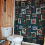 Moose Lodge - Bathroom.